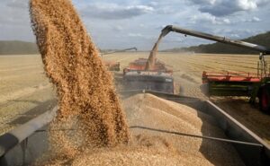 Haryana begins wheat procurement with new biometric rules, tractor ...
